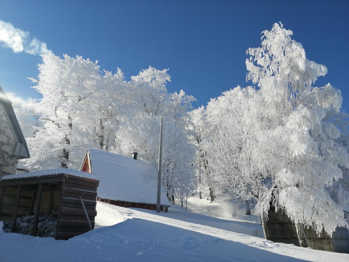 Mountain Village Žabljak Exterior foto
